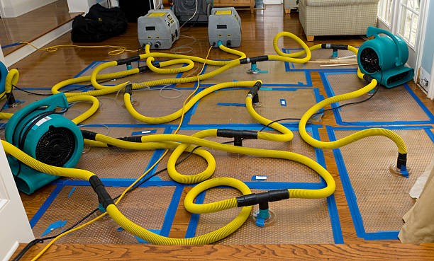 Professional Crawl Space Water Removal technician working in Weimar, TX